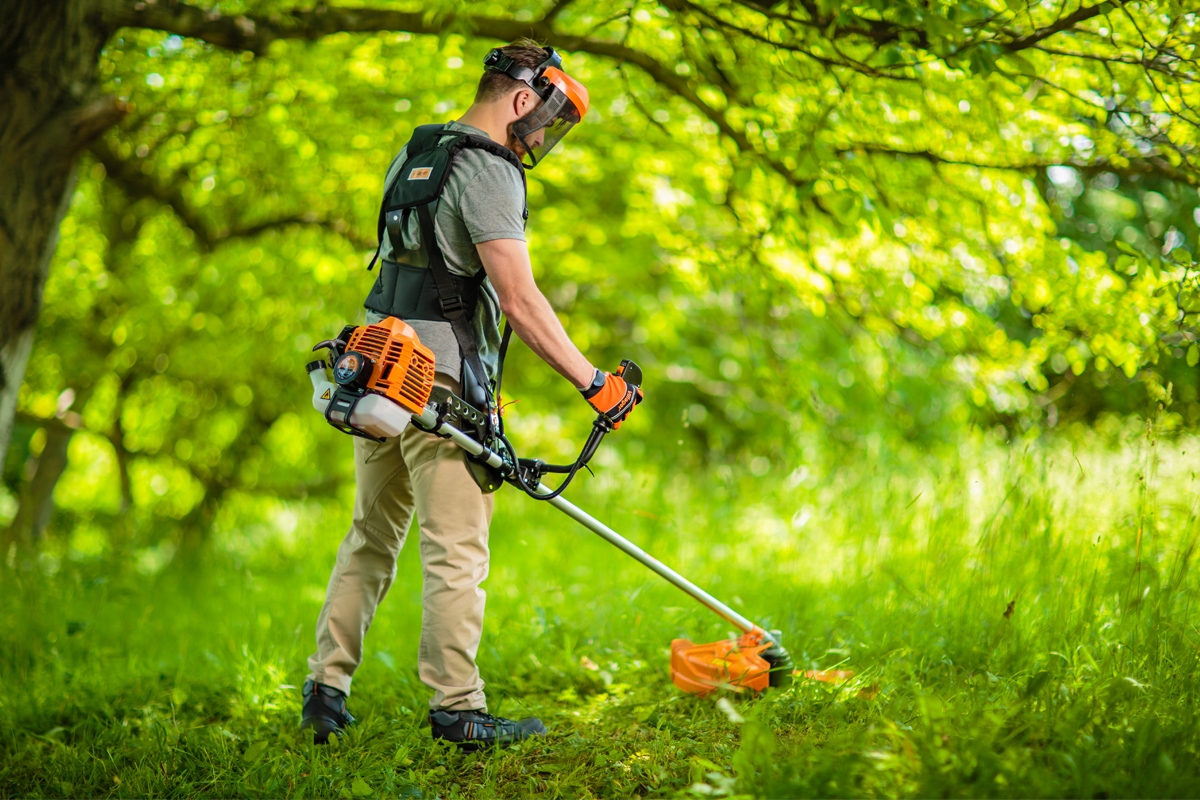 691481688baee29d8b786b1e