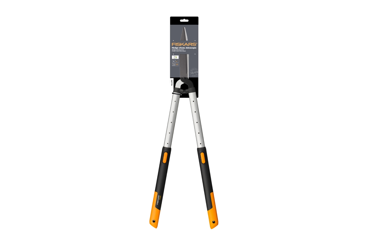 691481ac8baee29d8b78aae6