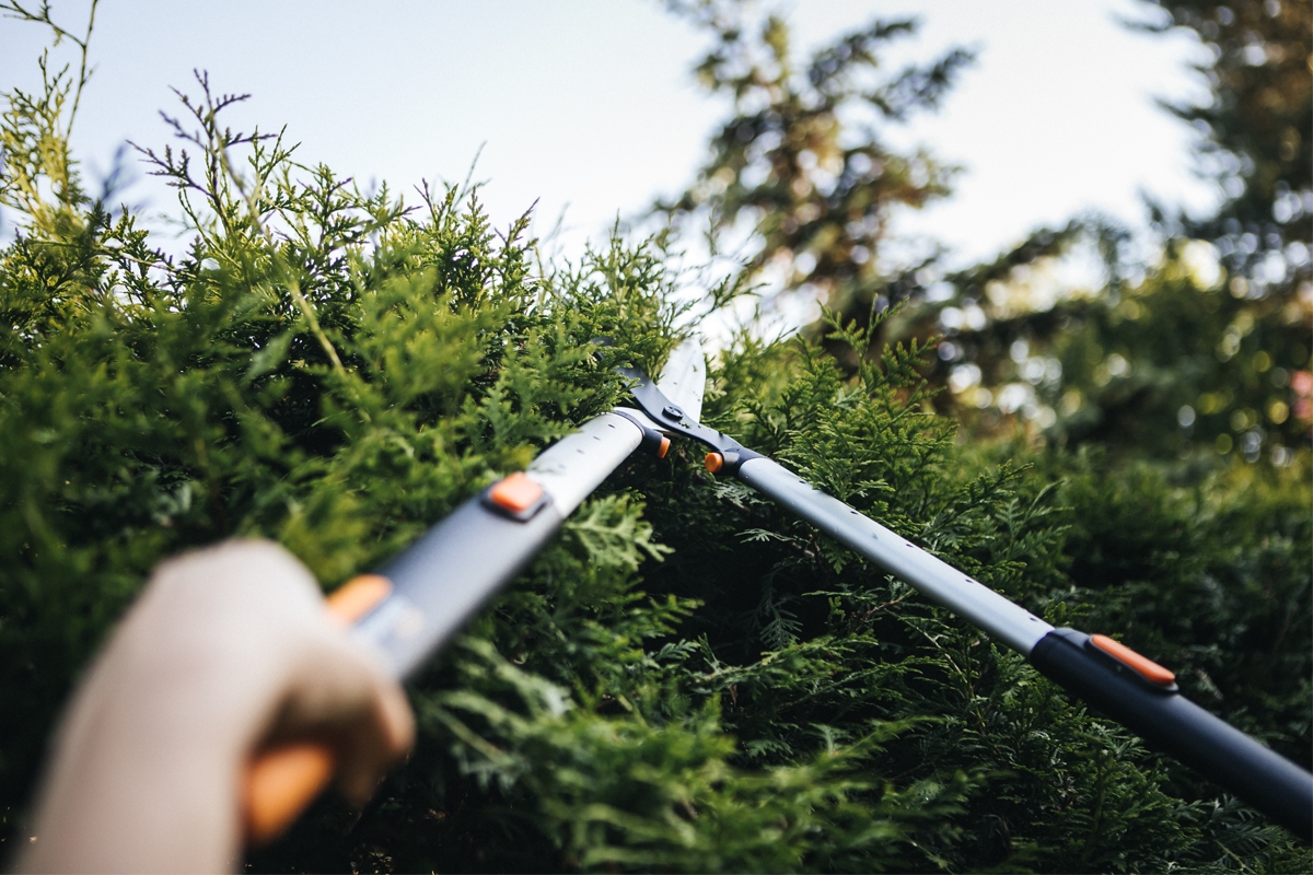 691481ac8baee29d8b78aaee