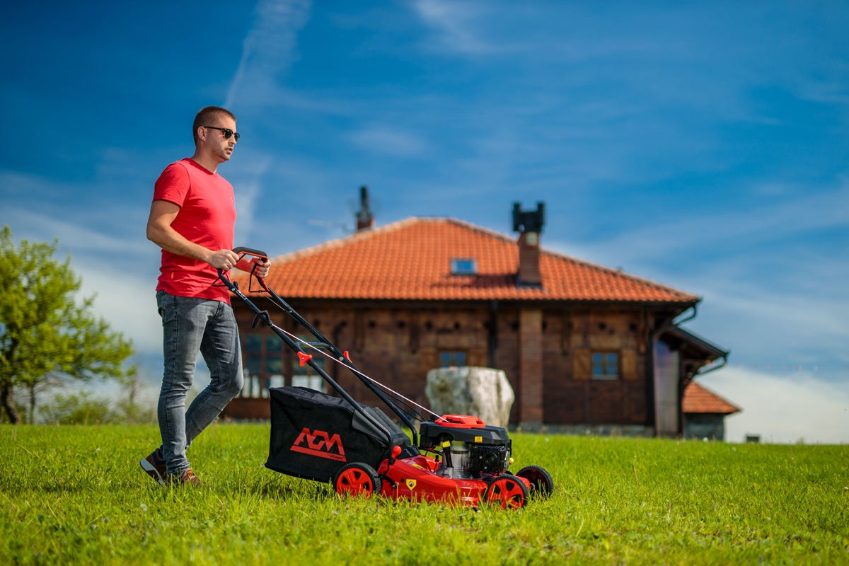 6914821a8baee29d8b792285